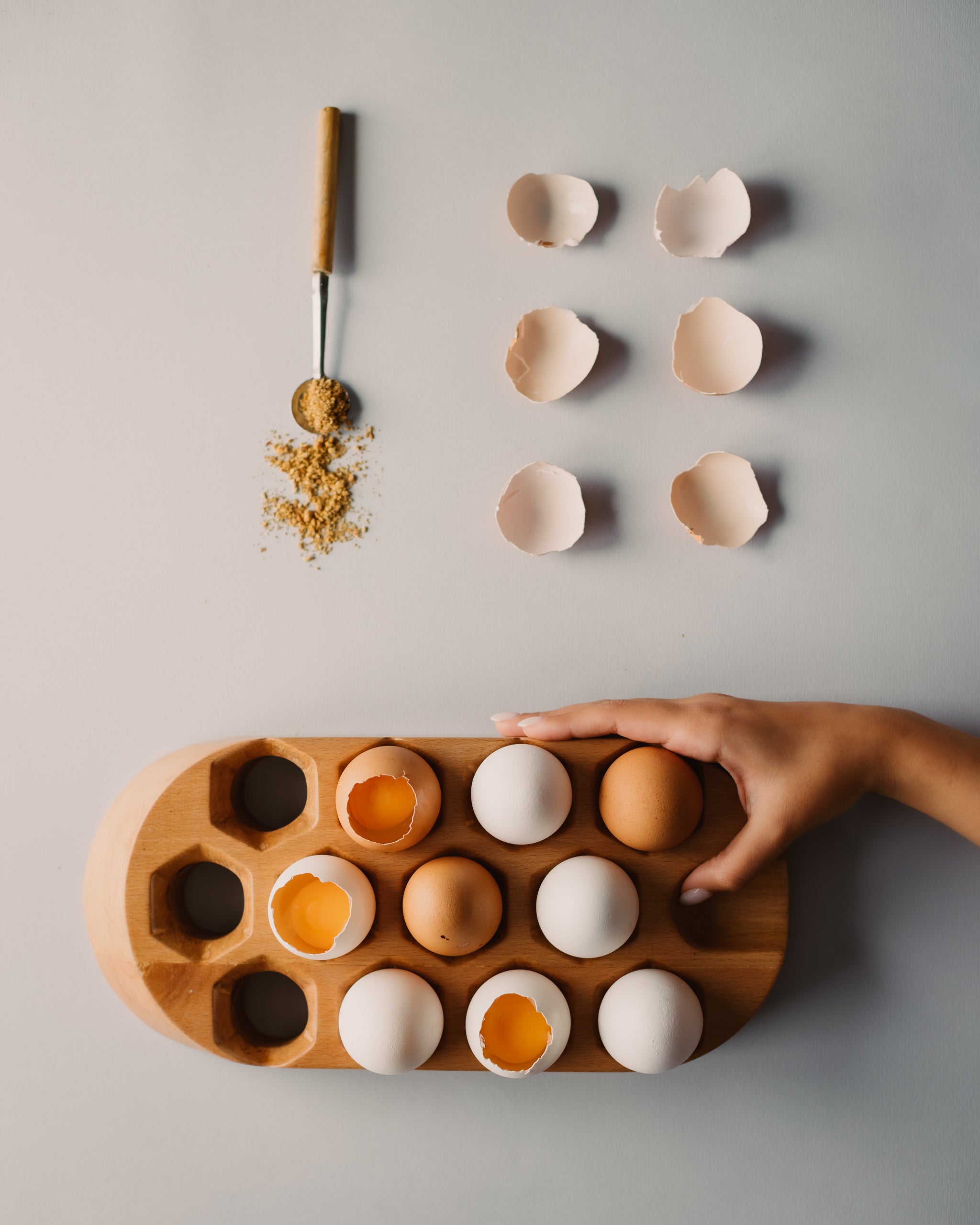 Egg Tray