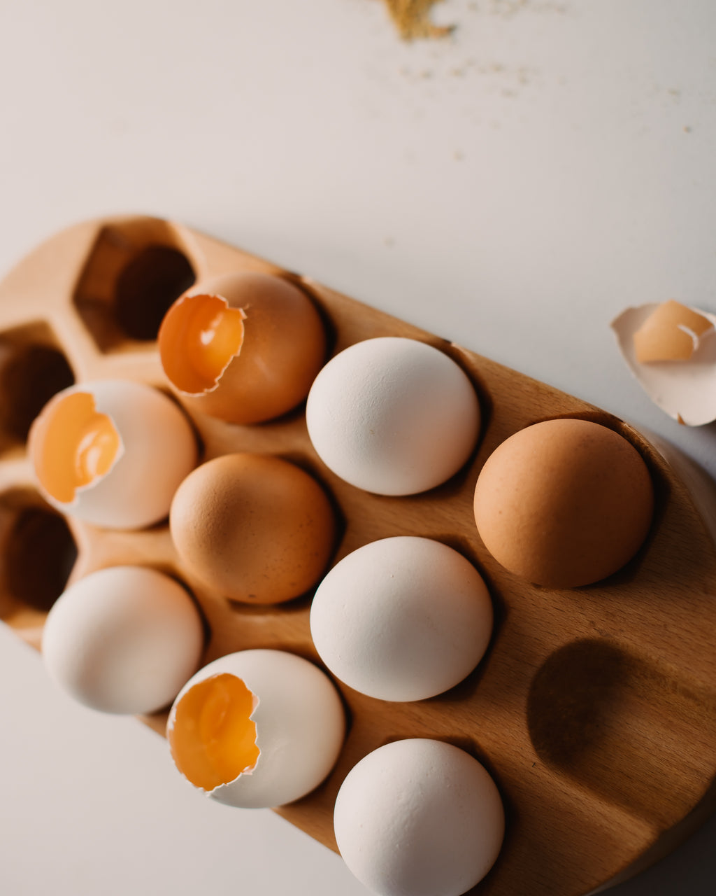 Egg Tray
